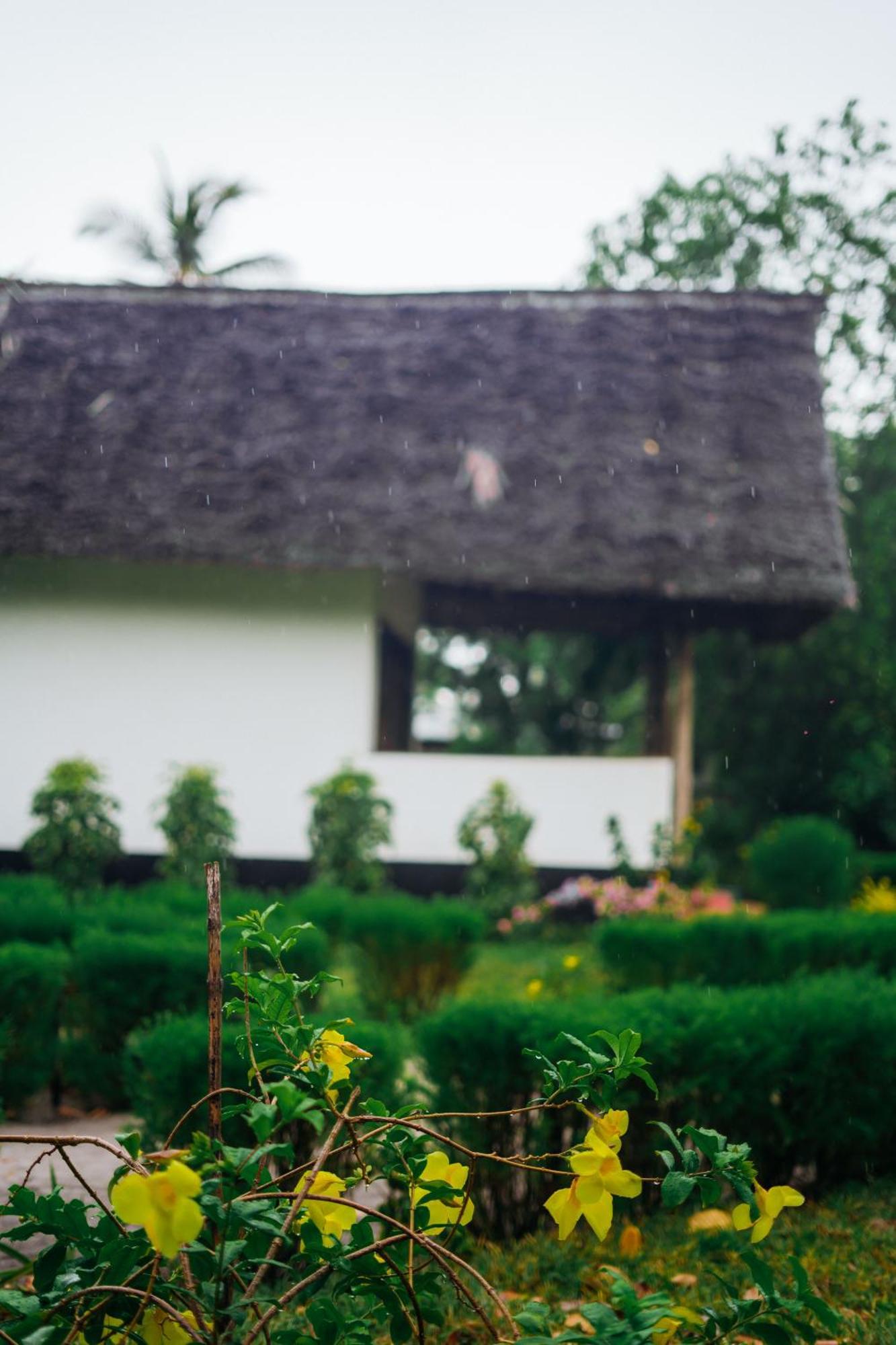 Maisara Mafia Beach Lodge คิลินโดนี ภายนอก รูปภาพ