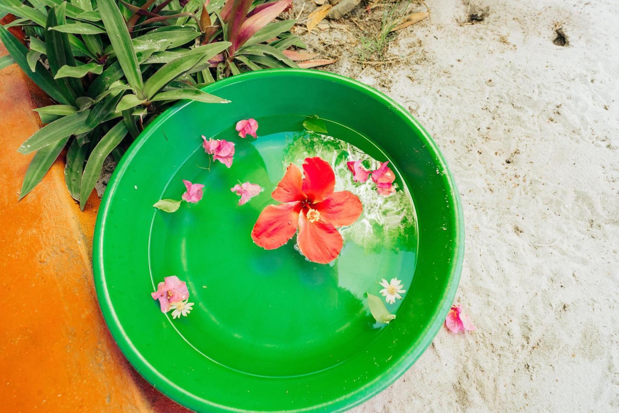 Maisara Mafia Beach Lodge คิลินโดนี ภายนอก รูปภาพ